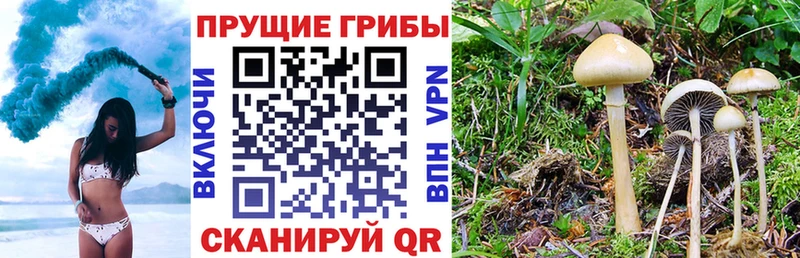 Купить  Ишимбай  Галлюциногенные грибы ЛСД 